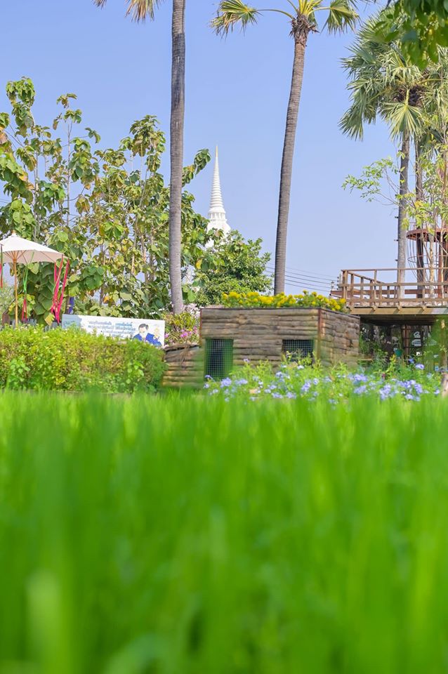 ศูนย์การเรียนรู้เศรษฐกิจพอเพียงบ้านของพ่อ จ.อยุธยา ตามรอยวิถีเกษตรในหลวง รัชกาลที่ 9