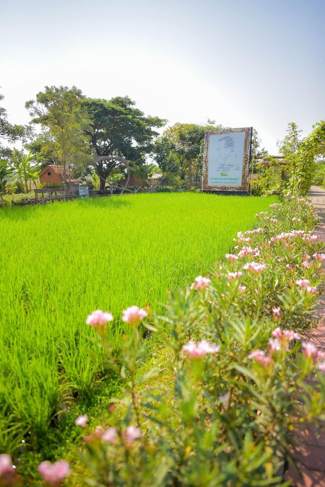 ศูนย์การเรียนรู้เศรษฐกิจพอเพียงบ้านของพ่อ จ.อยุธยา ตามรอยวิถีเกษตรในหลวง รัชกาลที่ 9