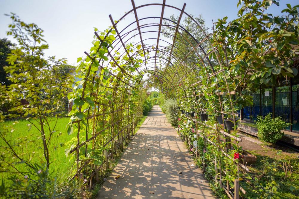 ศูนย์การเรียนรู้เศรษฐกิจพอเพียงบ้านของพ่อ จ.อยุธยา ตามรอยวิถีเกษตรในหลวง รัชกาลที่ 9