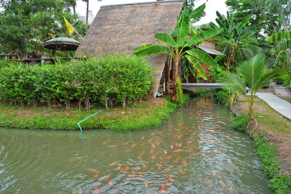 ศูนย์การเรียนรู้เศรษฐกิจพอเพียงบ้านของพ่อ จ.อยุธยา ตามรอยวิถีเกษตรในหลวง รัชกาลที่ 9