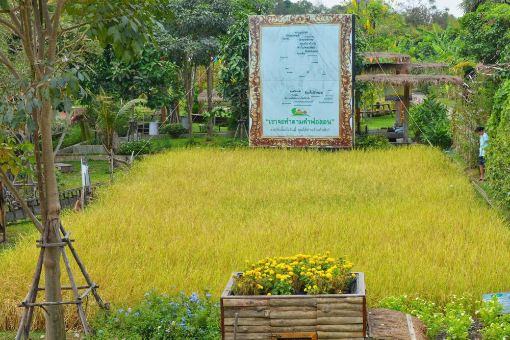 ศูนย์การเรียนรู้เศรษฐกิจพอเพียงบ้านของพ่อ จ.อยุธยา ตามรอยวิถีเกษตรในหลวง รัชกาลที่ 9
