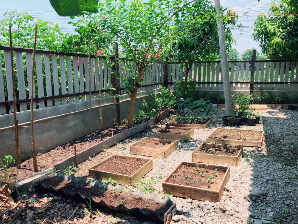 บ้านชั้นเดียว ราคา 1,600,000 บาท (ราคาบ้านรวมที่ดิน)