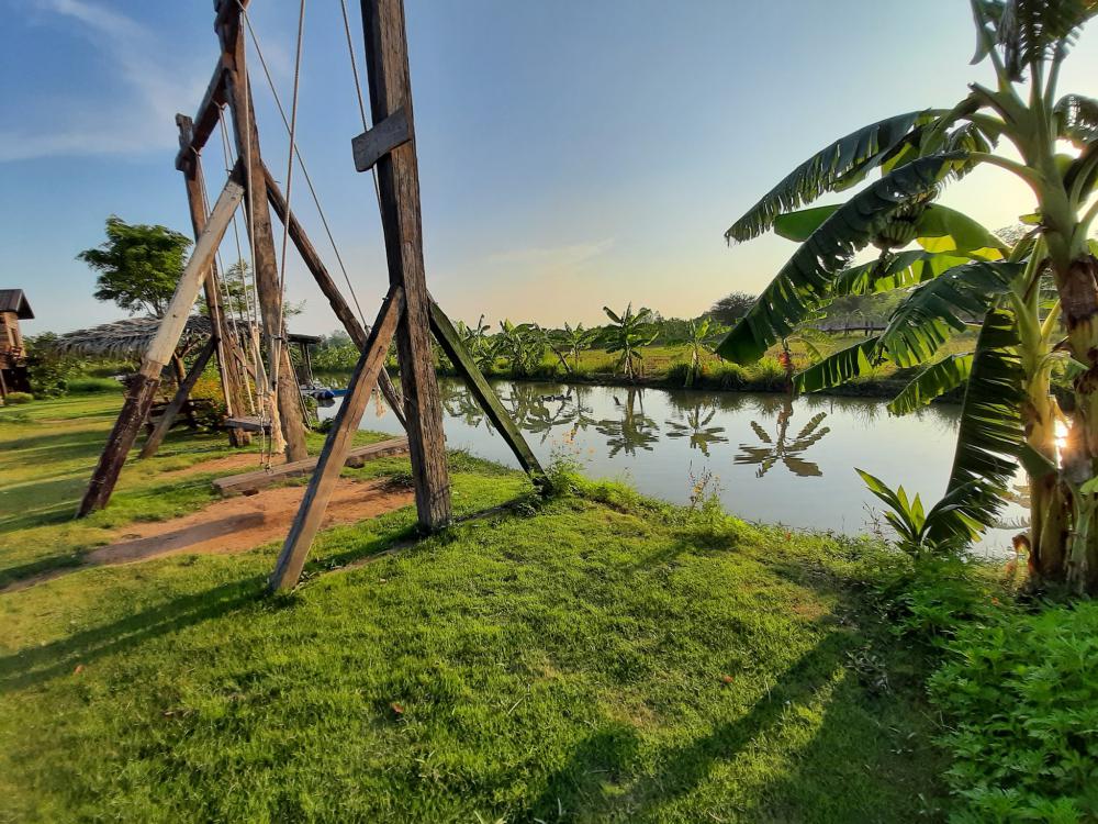 ฟาร์มปลูกสุขขอนเเก่น อำเภอเมือง จังหวัดขอนแก่น