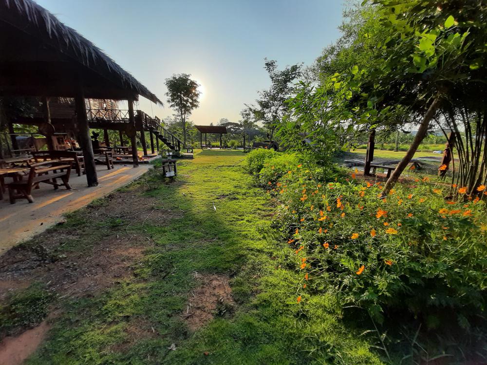 ฟาร์มปลูกสุขขอนเเก่น อำเภอเมือง จังหวัดขอนแก่น