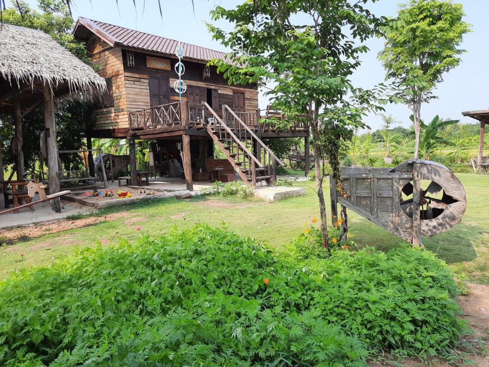 ฟาร์มปลูกสุขขอนเเก่น อำเภอเมือง จังหวัดขอนแก่น