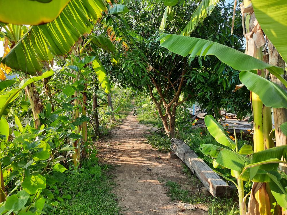 ฟาร์มปลูกสุขขอนเเก่น อำเภอเมือง จังหวัดขอนแก่น