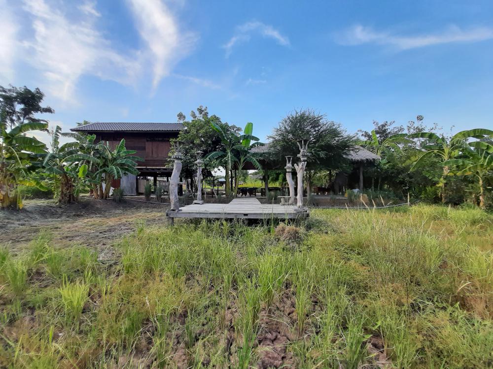 ฟาร์มปลูกสุขขอนเเก่น อำเภอเมือง จังหวัดขอนแก่น