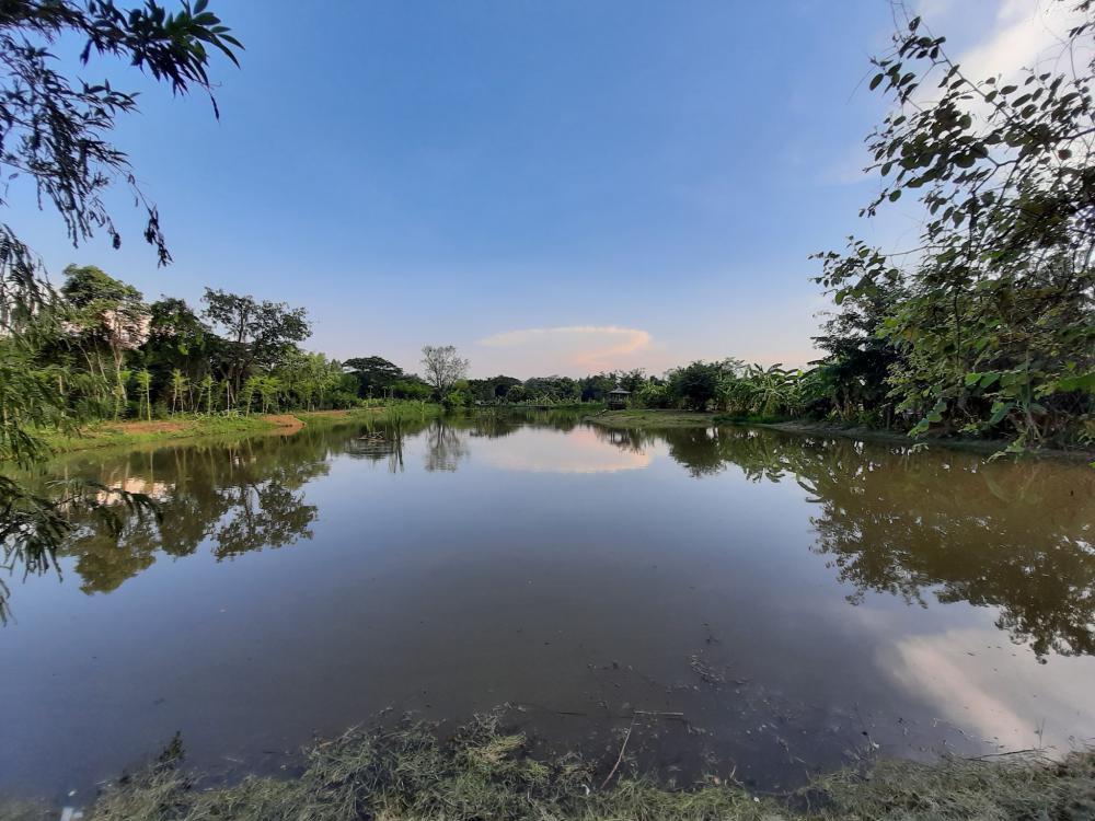 ฟาร์มปลูกสุขขอนเเก่น อำเภอเมือง จังหวัดขอนแก่น