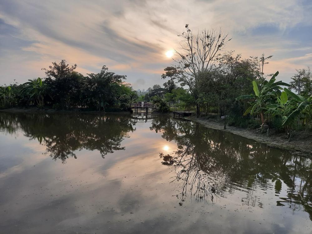 ฟาร์มปลูกสุขขอนเเก่น อำเภอเมือง จังหวัดขอนแก่น