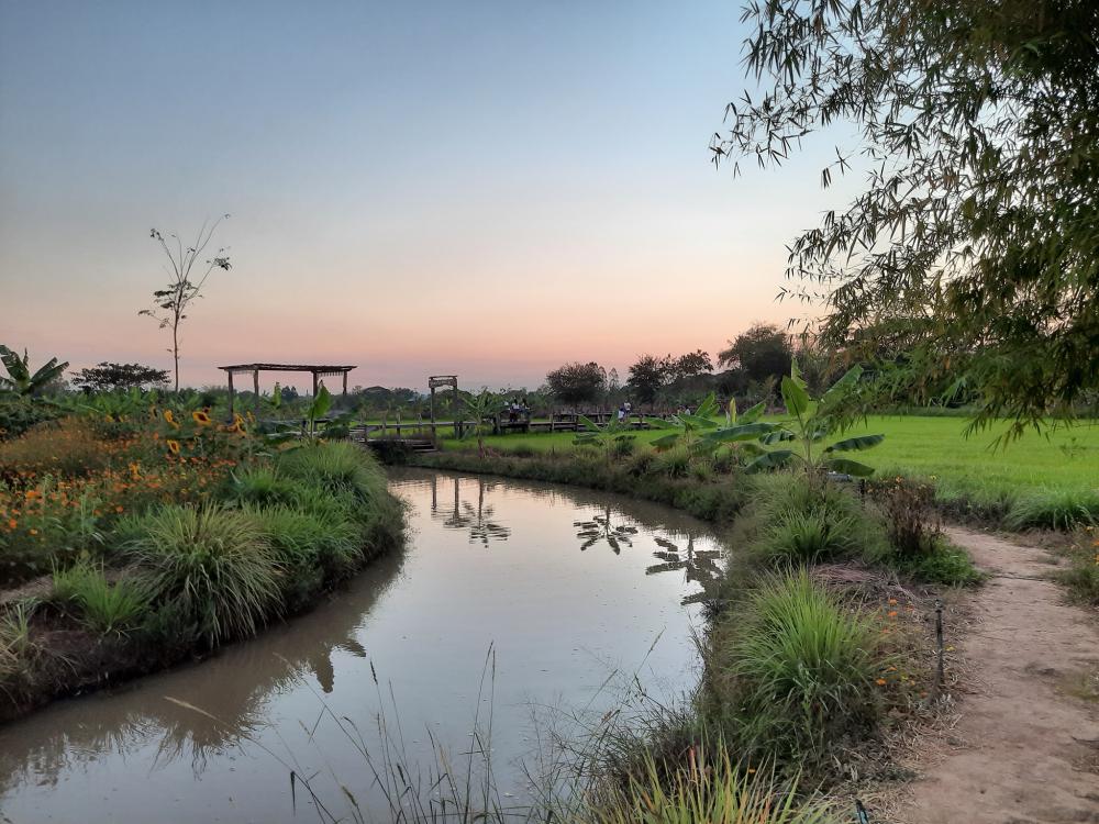 ฟาร์มปลูกสุขขอนเเก่น อำเภอเมือง จังหวัดขอนแก่น