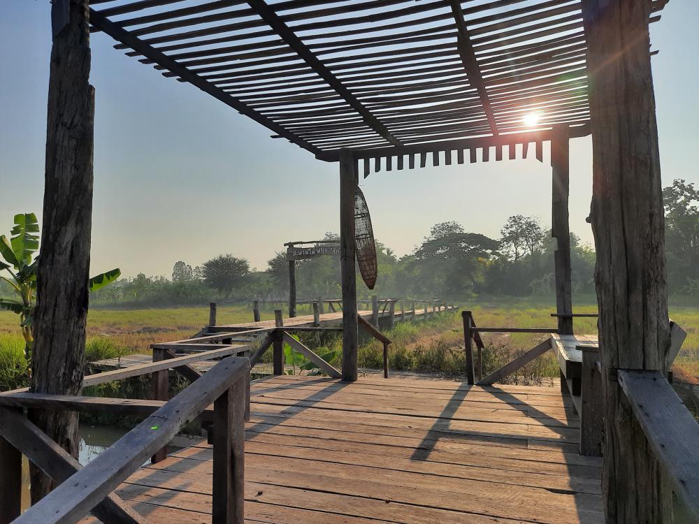 ฟาร์มปลูกสุขขอนเเก่น อำเภอเมือง จังหวัดขอนแก่น