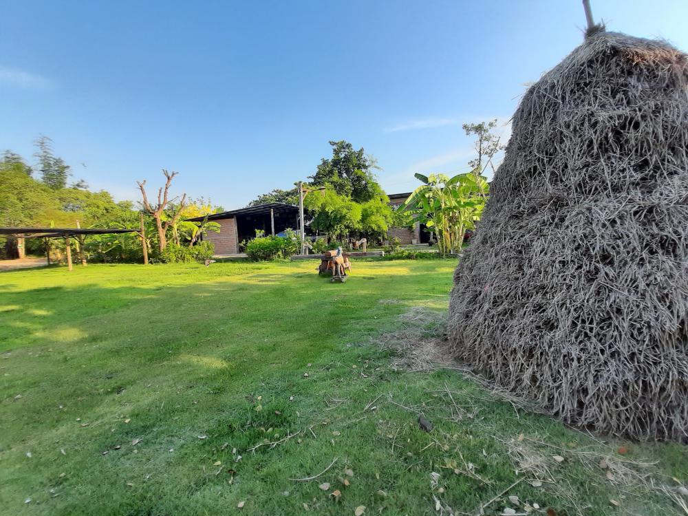 ฟาร์มปลูกสุขขอนเเก่น อำเภอเมือง จังหวัดขอนแก่น