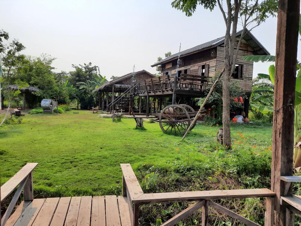 ฟาร์มปลูกสุขขอนเเก่น อำเภอเมือง จังหวัดขอนแก่น