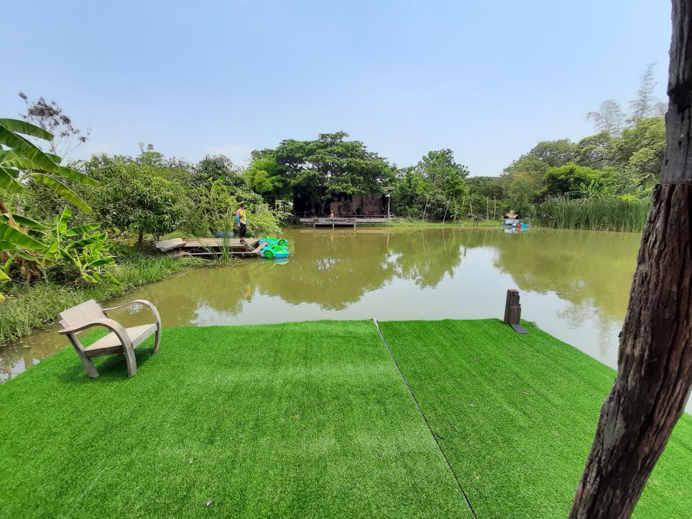 ฟาร์มปลูกสุขขอนเเก่น อำเภอเมือง จังหวัดขอนแก่น