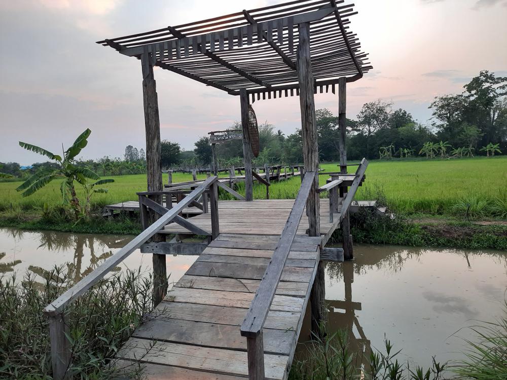 ฟาร์มปลูกสุขขอนเเก่น อำเภอเมือง จังหวัดขอนแก่น