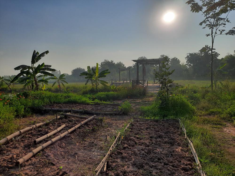 ฟาร์มปลูกสุขขอนเเก่น อำเภอเมือง จังหวัดขอนแก่น