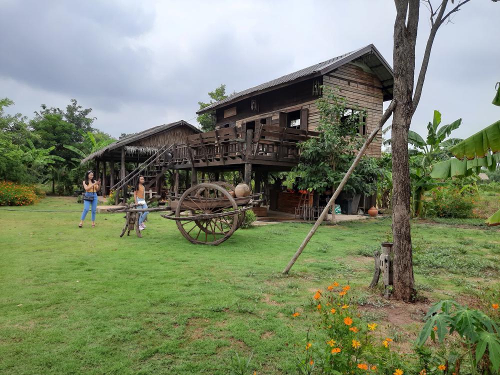 ฟาร์มปลูกสุข ช่วงว่านข้าว