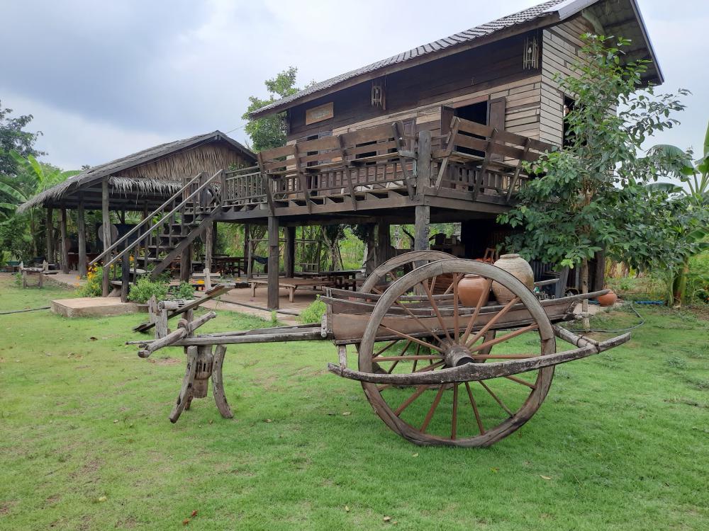 ฟาร์มปลูกสุข ช่วงว่านข้าว