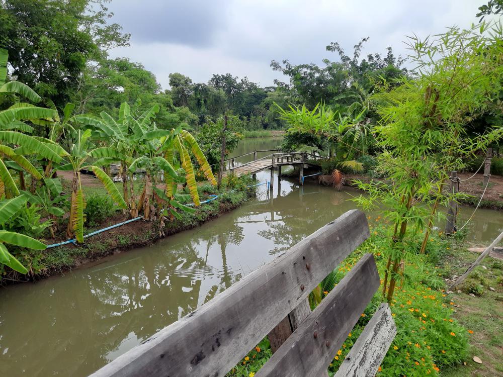 ฟาร์มปลูกสุข ช่วงว่านข้าว