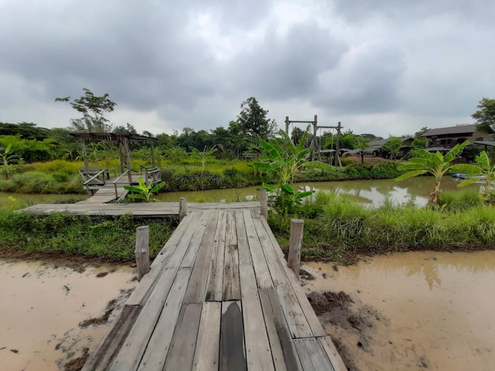 ฟาร์มปลูกสุข ช่วงว่านข้าว