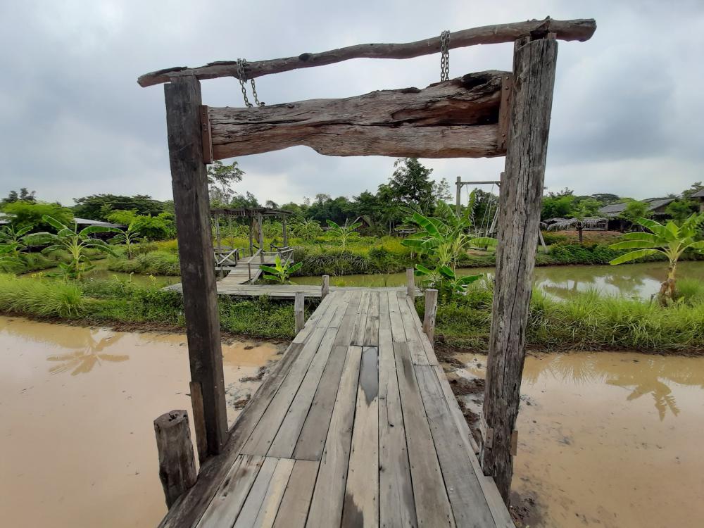 ฟาร์มปลูกสุข ช่วงว่านข้าว