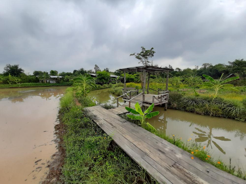 ฟาร์มปลูกสุข ช่วงว่านข้าว