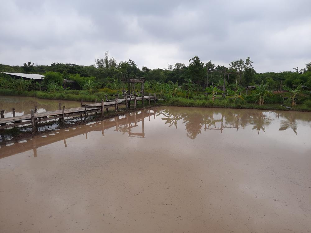 ฟาร์มปลูกสุข ช่วงว่านข้าว