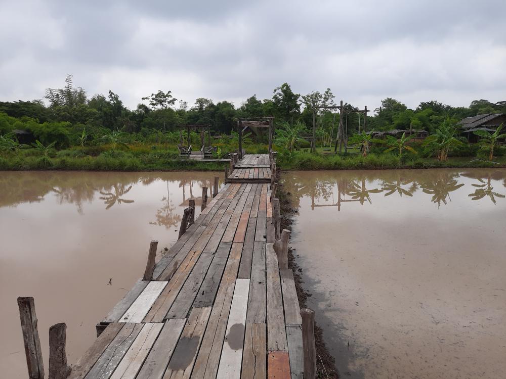 ฟาร์มปลูกสุข ช่วงว่านข้าว