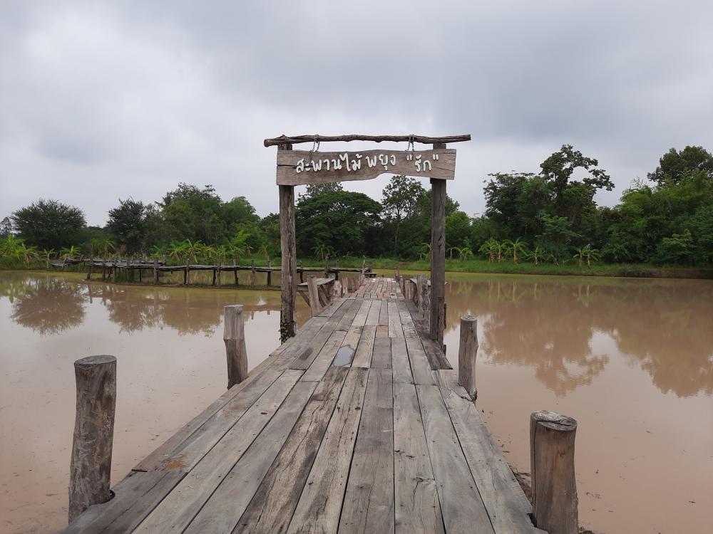 ฟาร์มปลูกสุข ช่วงว่านข้าว