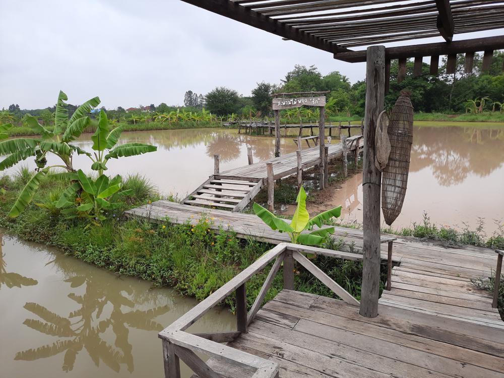 ฟาร์มปลูกสุข ช่วงว่านข้าว