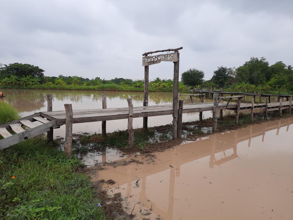 ฟาร์มปลูกสุข ช่วงว่านข้าว