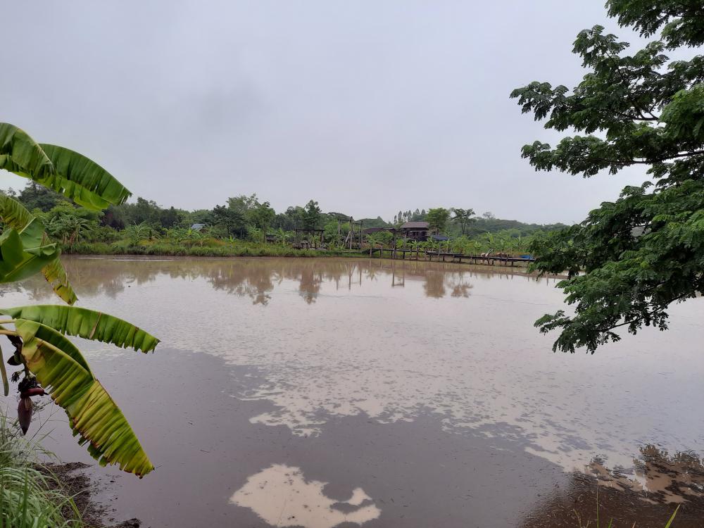 ฟาร์มปลูกสุข ช่วงว่านข้าว