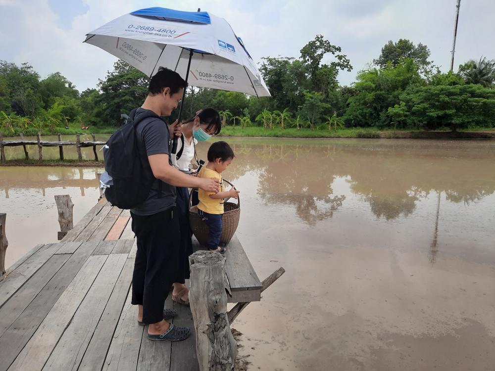 ฟาร์มปลูกสุข ช่วงว่านข้าว