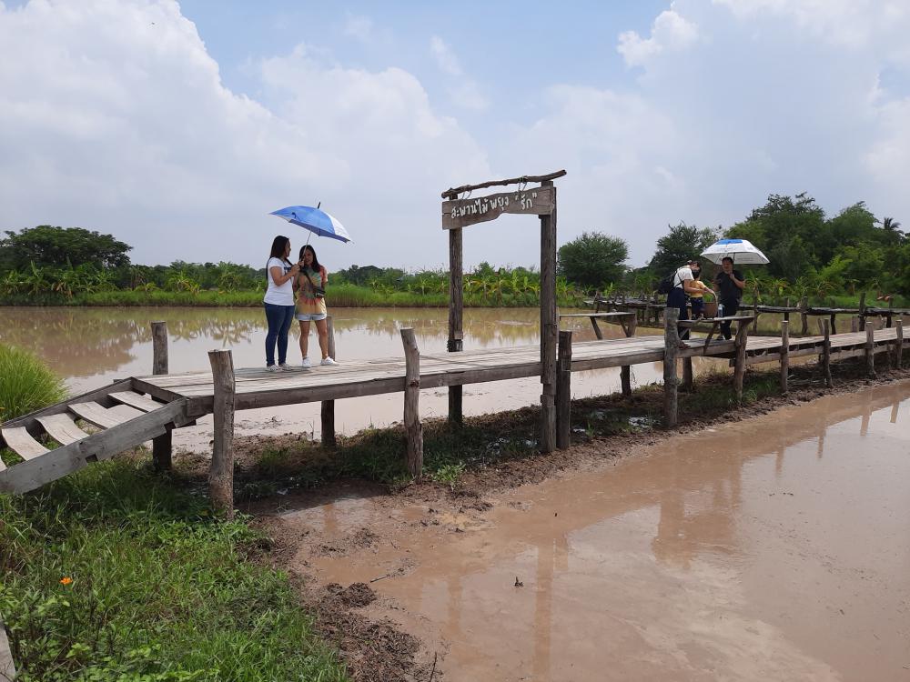 ฟาร์มปลูกสุข ช่วงว่านข้าว