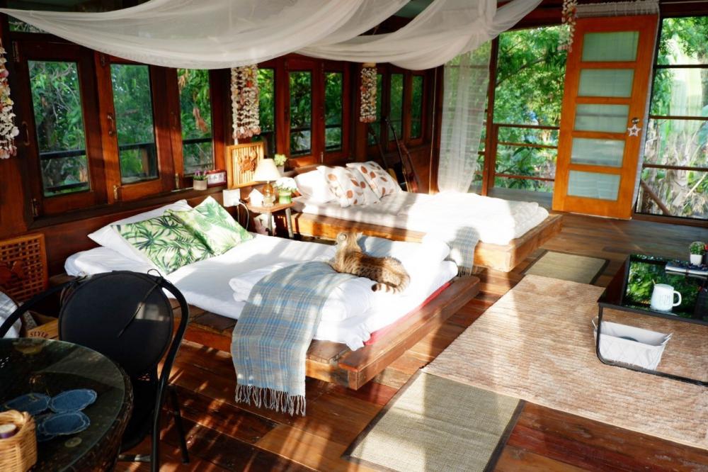 บ้านสวนท่ามกลางธรรมชาติแบบบ้านๆ ของพยาบาลสาวสวย ด้านบนไม้ ด้านล่างโถง ใช้งบ 280,000 บาท