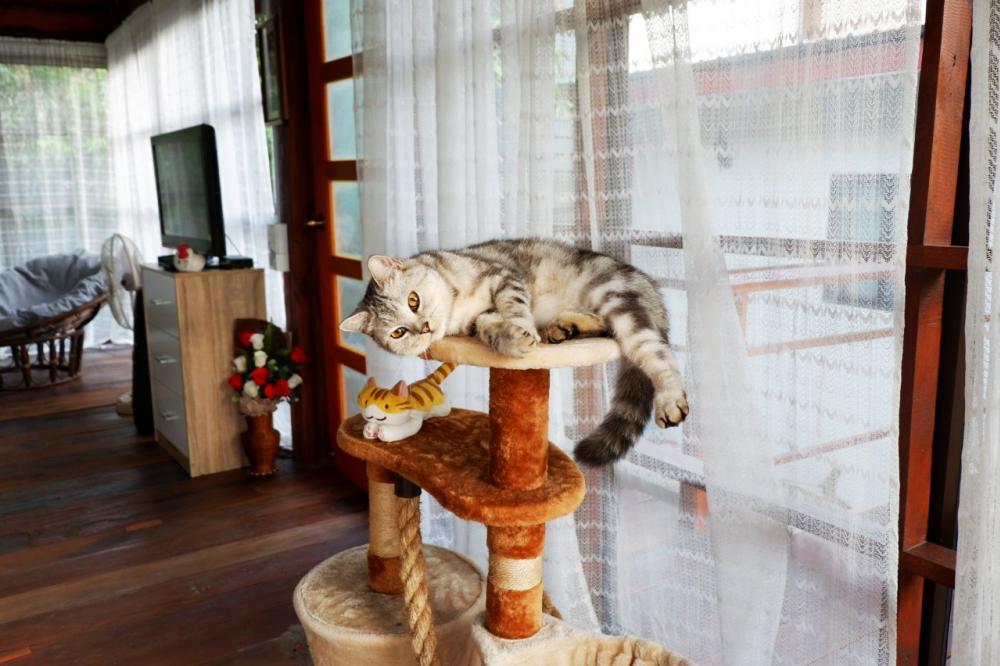 บ้านสวนท่ามกลางธรรมชาติแบบบ้านๆ ของพยาบาลสาวสวย ด้านบนไม้ ด้านล่างโถง ใช้งบ 280,000 บาท