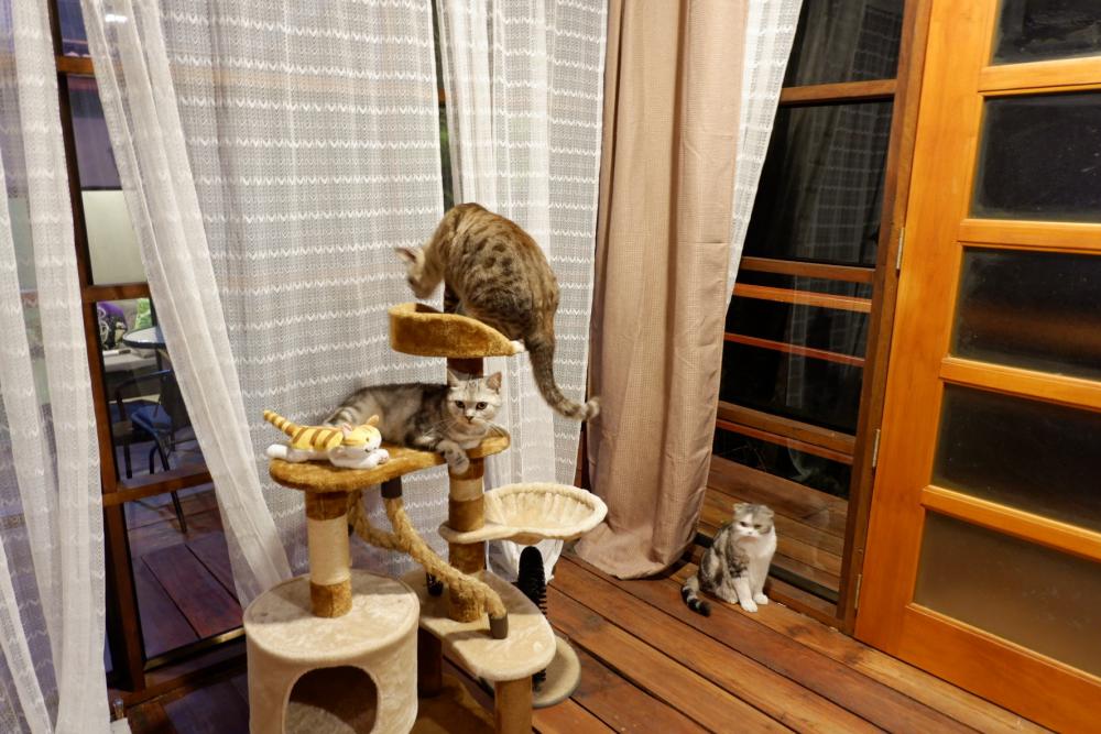 บ้านสวนท่ามกลางธรรมชาติแบบบ้านๆ ของพยาบาลสาวสวย ด้านบนไม้ ด้านล่างโถง ใช้งบ 280,000 บาท