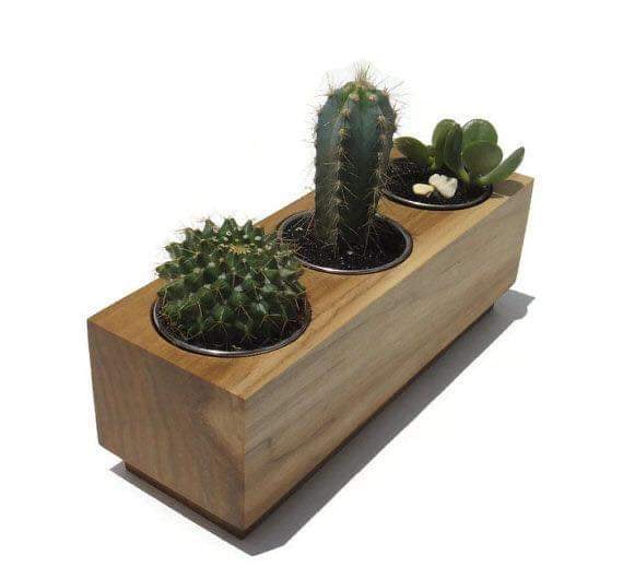 ไอเดีย การตกแต่งบ้านด้วยพืชสวยๆ หลากหลายชนิด