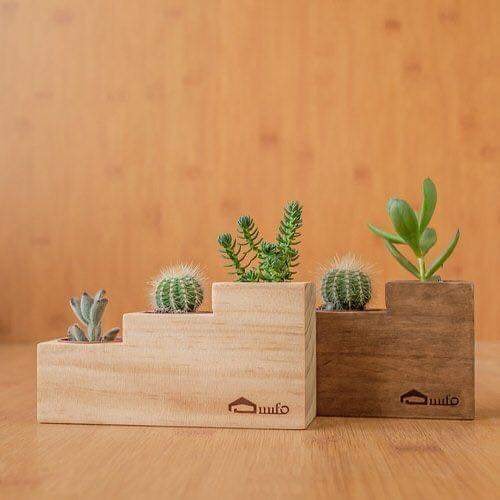 ไอเดีย การตกแต่งบ้านด้วยพืชสวยๆ หลากหลายชนิด