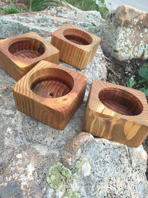 ไอเดีย การตกแต่งบ้านด้วยพืชสวยๆ หลากหลายชนิด