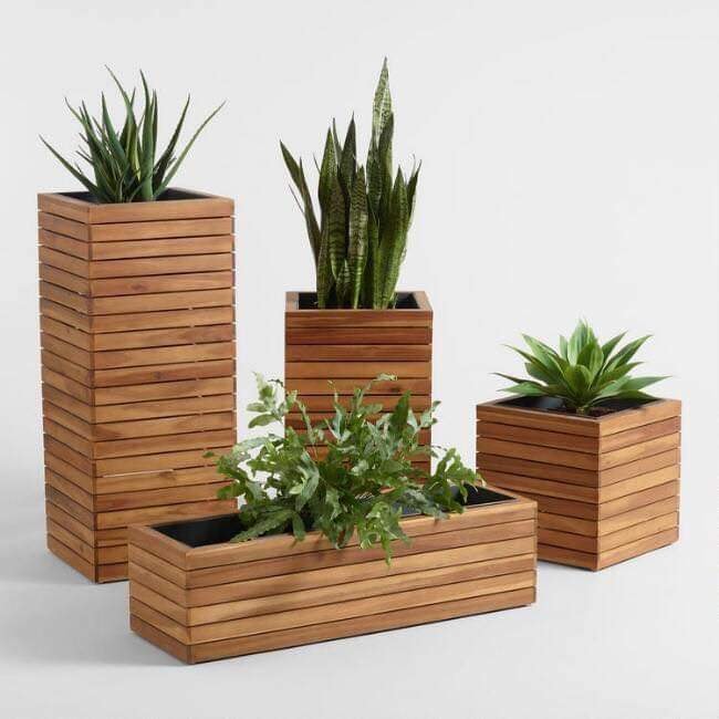 ไอเดีย การตกแต่งบ้านด้วยพืชสวยๆ หลากหลายชนิด