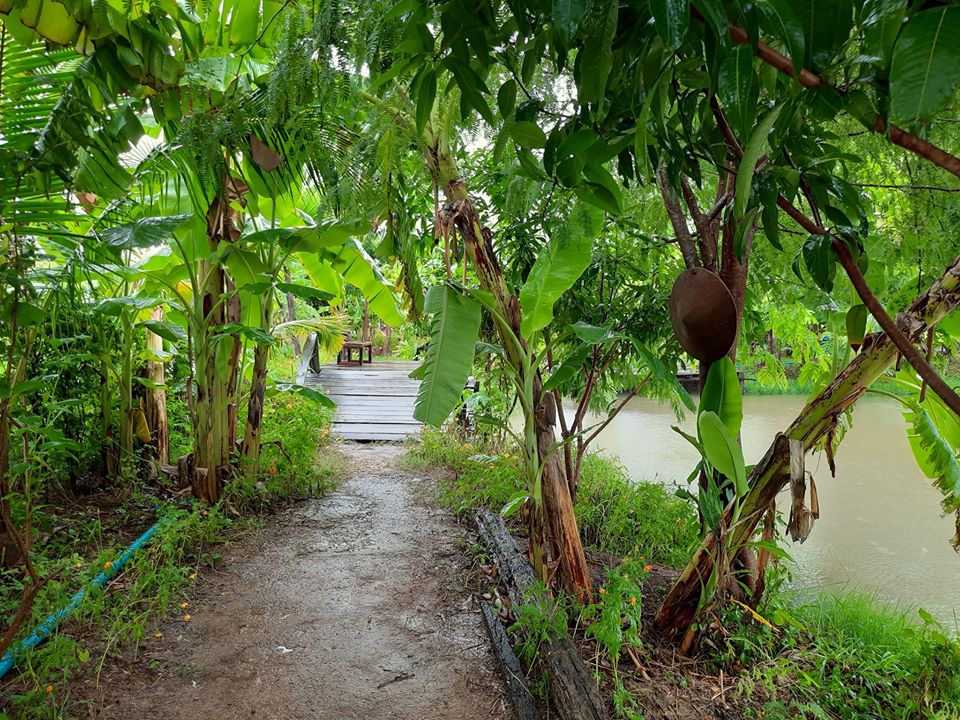 บรรยายกาศฉ่ำๆ ณ ฟาร์มปลูกสุข ขอนแก่น