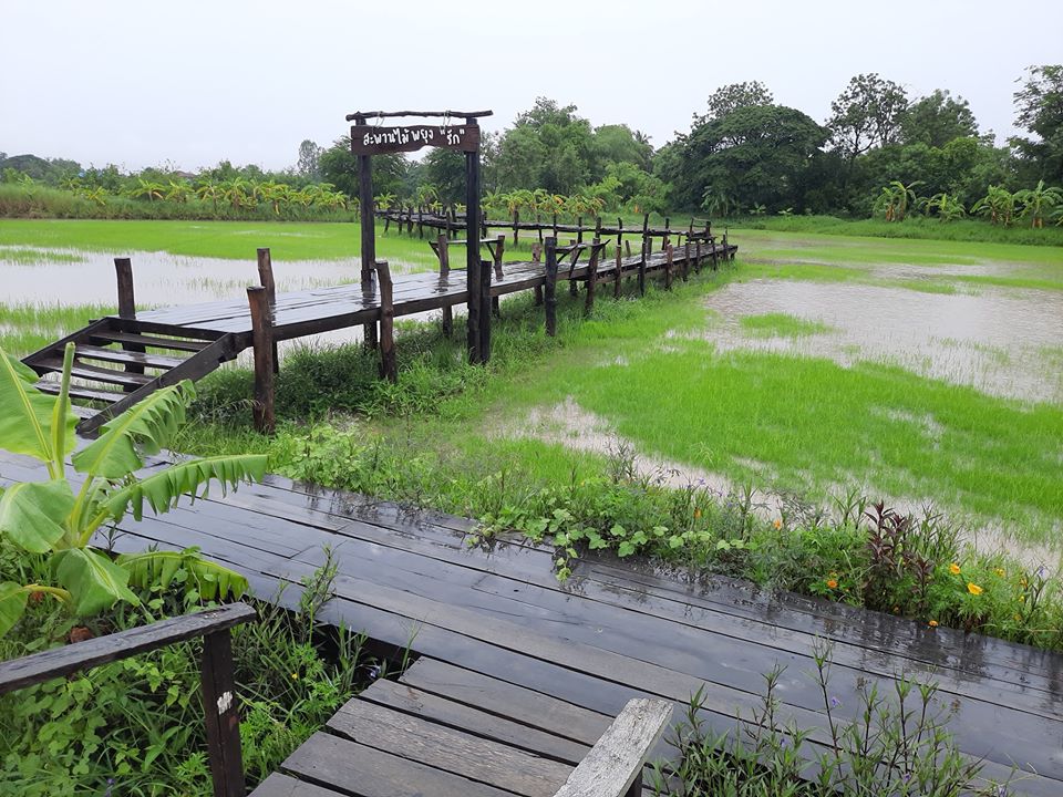 บรรยายกาศฉ่ำๆ ณ ฟาร์มปลูกสุข ขอนแก่น