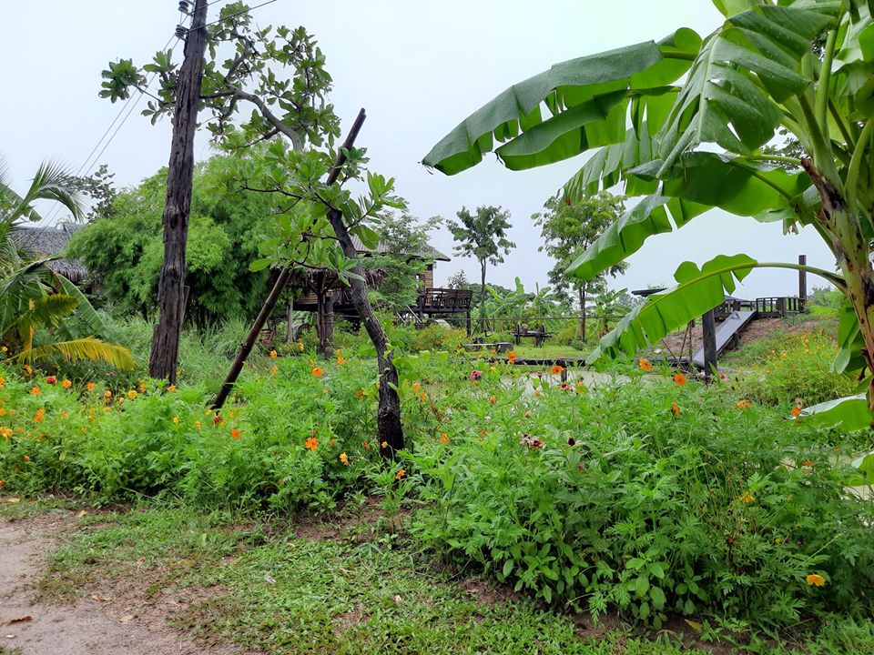 บรรยายกาศฉ่ำๆ ณ ฟาร์มปลูกสุข ขอนแก่น