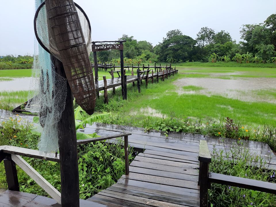 บรรยายกาศฉ่ำๆ ณ ฟาร์มปลูกสุข ขอนแก่น