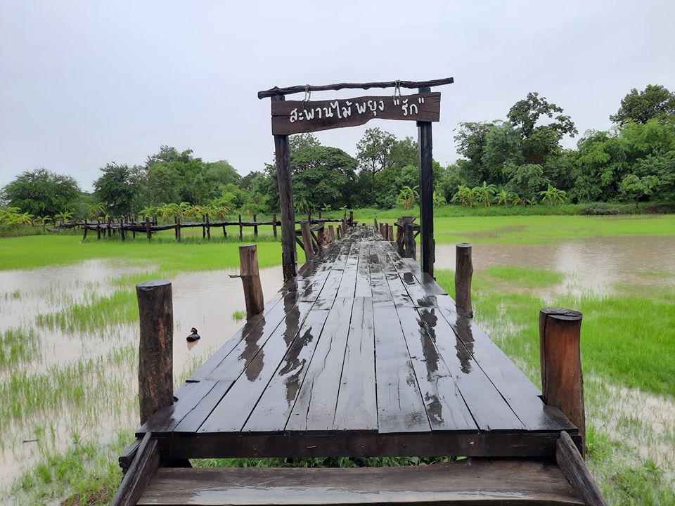 บรรยายกาศฉ่ำๆ ณ ฟาร์มปลูกสุข ขอนแก่น