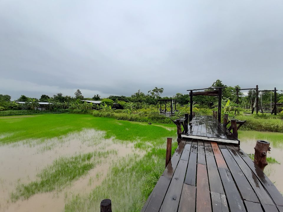 บรรยายกาศฉ่ำๆ ณ ฟาร์มปลูกสุข ขอนแก่น