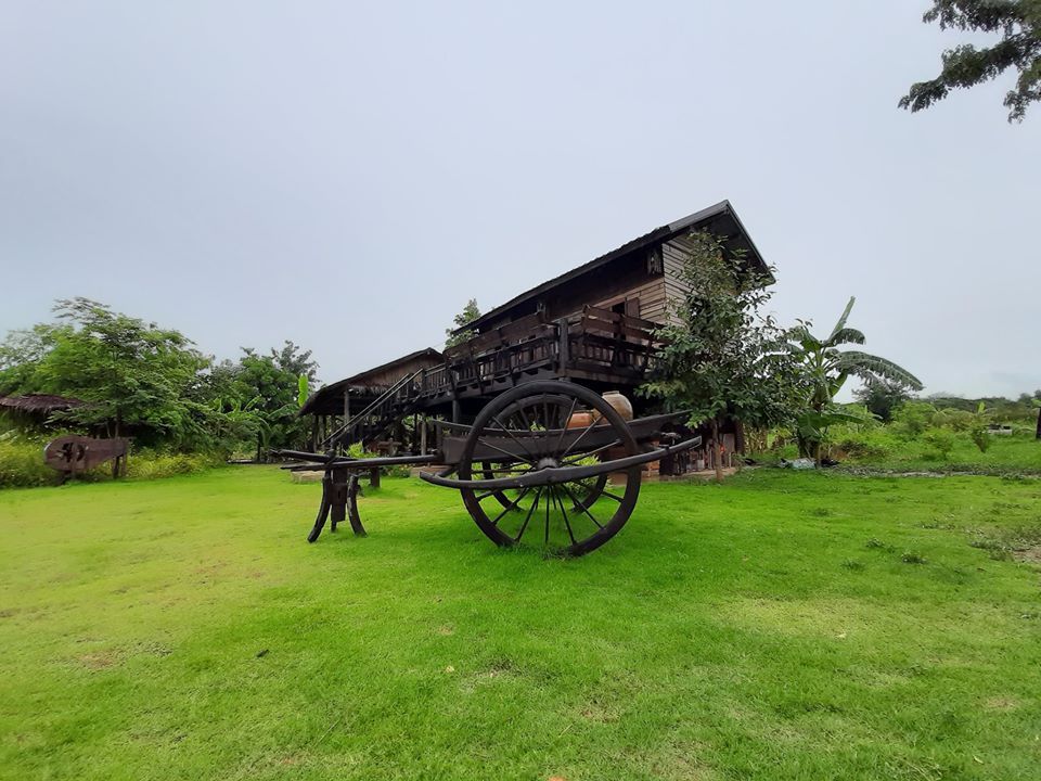 บรรยายกาศฉ่ำๆ ณ ฟาร์มปลูกสุข ขอนแก่น
