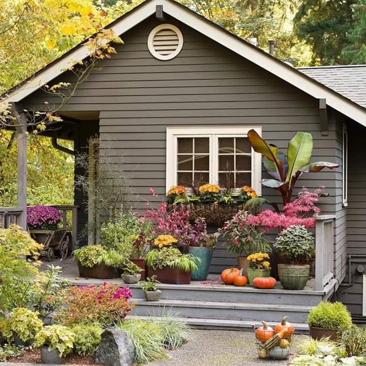 ไอเดียทำบ้านในสวน สำหรับนั่งเล่น อ่านหนังสือ และพักผ่อน