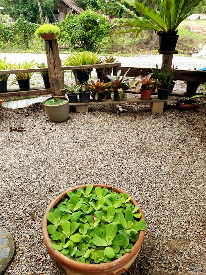 ไอเดียนำไม้เก่ามาตกแต่งฝาบ้าน